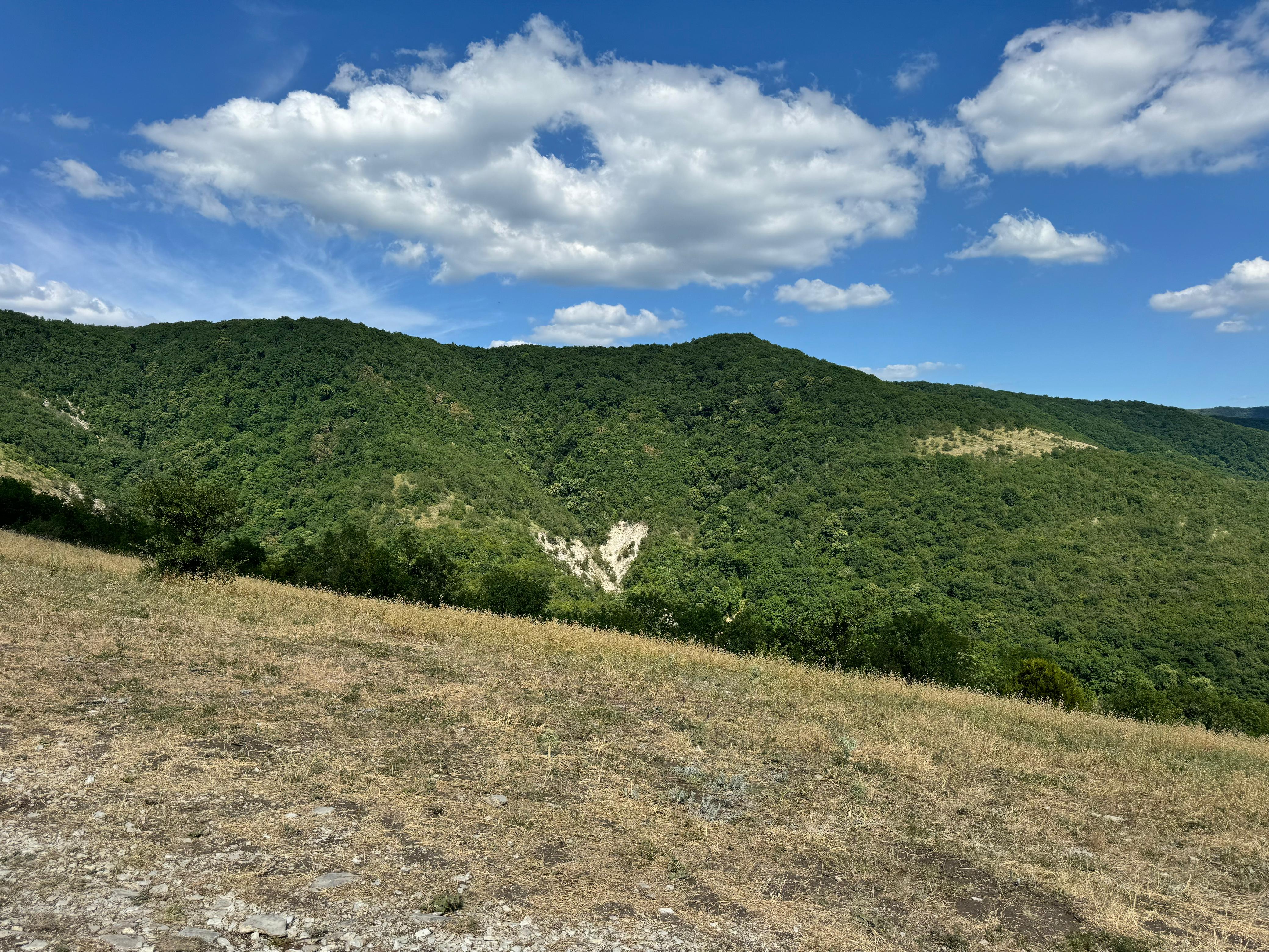 Панорама с горы Острой
